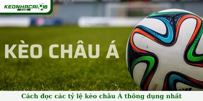 Cách đọc các tỷ lệ kèo châu Á thông dụng nhất
