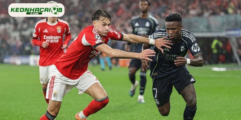 Soi kèo Real Madrid vs Benfica trong giải Champions League 2026